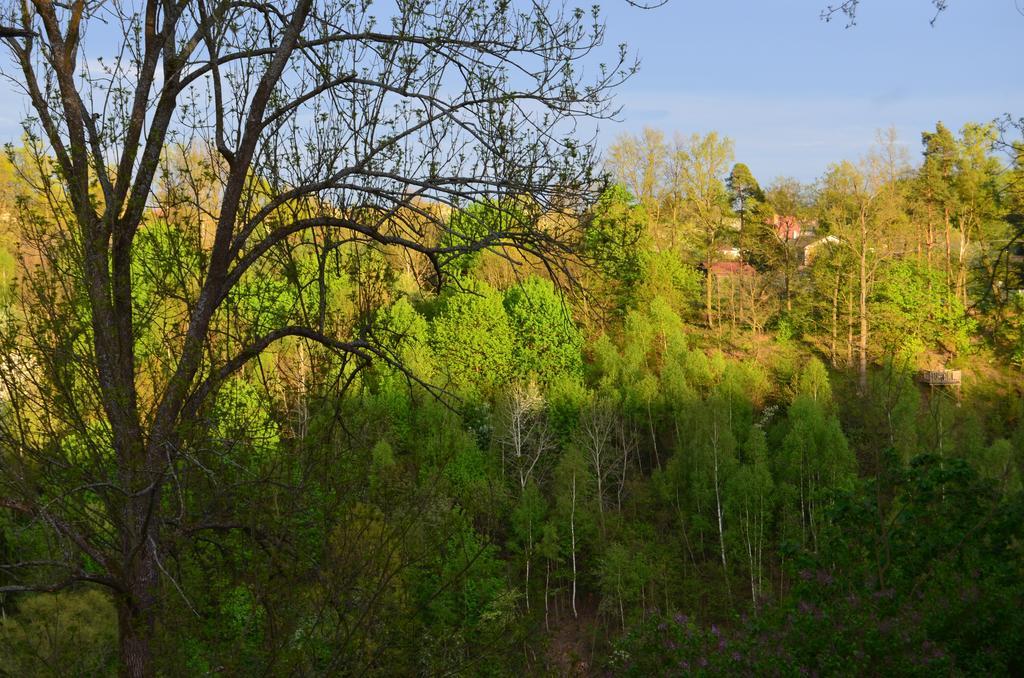 Penzion Vila Elektra Bechyně Exteriör bild