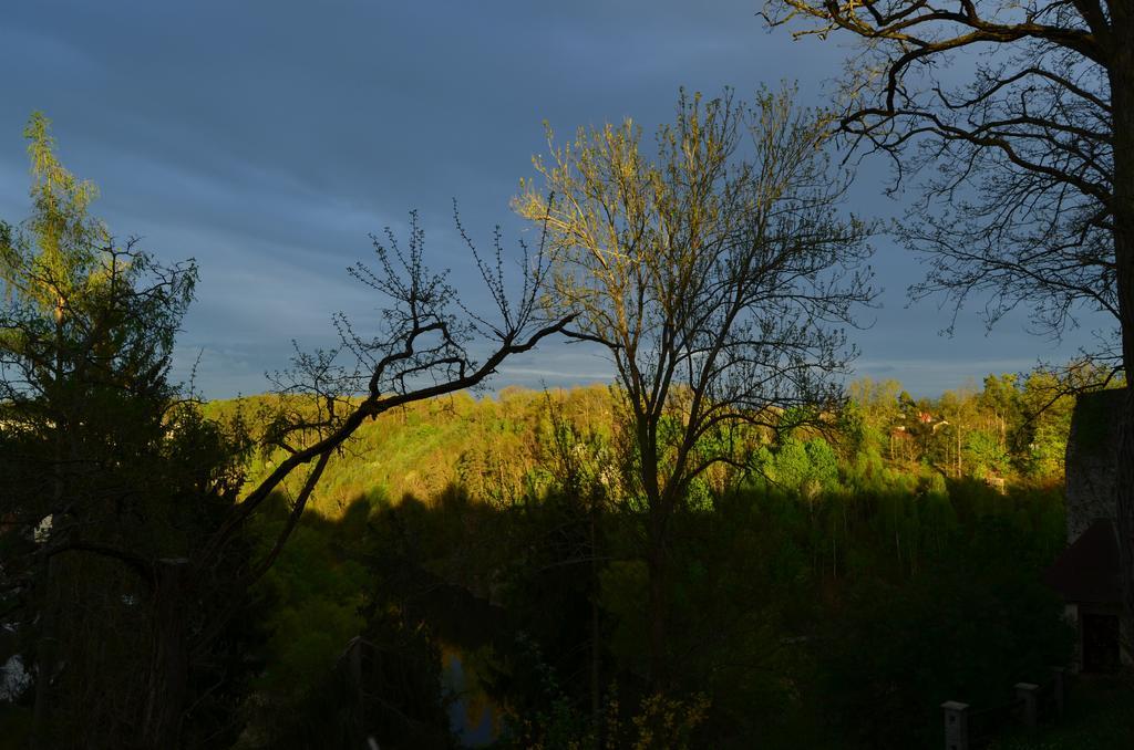 Penzion Vila Elektra Bechyně Exteriör bild